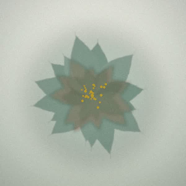 Chemistry bloom for Northern Lights