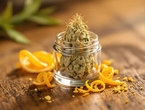 Gelato hemp flower in a clear glass jar on walnut