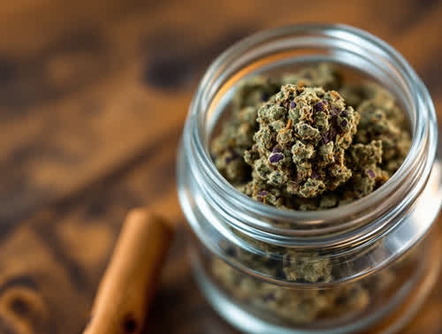 Girl Scout Cookies hemp flower in a clear glass jar on walnut