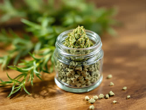 Jack Herer hemp flower in a clear glass jar on walnut