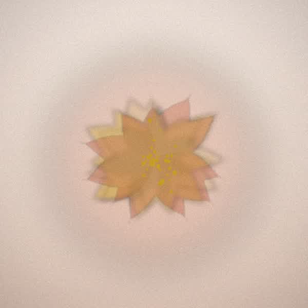 Chemistry bloom for Pineapple Express