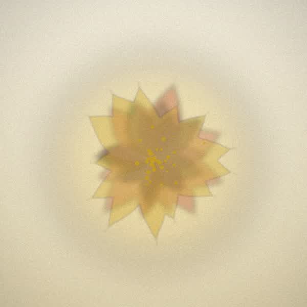 Chemistry bloom for Wedding Cake